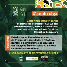 Caminhos Amefricanos Card